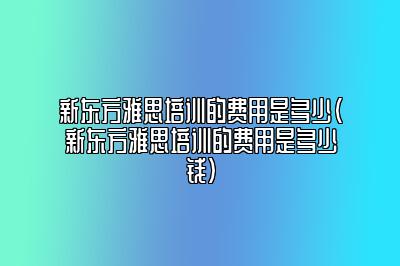 新东方雅思培训的费用是多少(新东方雅思培训的费用是多少钱)