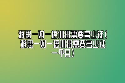 雅思一对一培训班需要多少钱(雅思一对一培训班需要多少钱一个月)