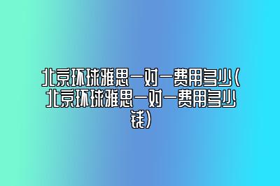 北京环球雅思一对一费用多少(北京环球雅思一对一费用多少钱)