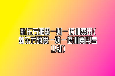 新东方雅思一对一培训费用(新东方雅思一对一培训费用多少钱)