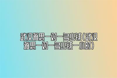 武汉雅思一对一多少钱(武汉雅思一对一多少钱一小时)