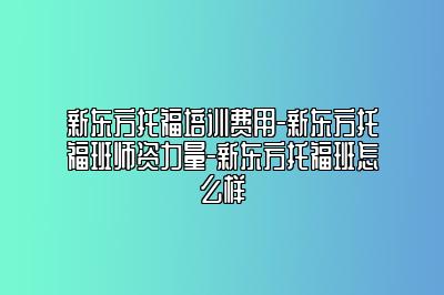 新东方托福培训费用-新东方托福班师资力量-新东方托福班怎么样