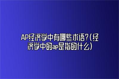 AP经济学中有哪些术语?(经济学中的ap是指的什么)