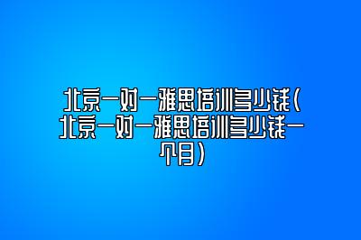 北京一对一雅思培训多少钱(北京一对一雅思培训多少钱一个月)