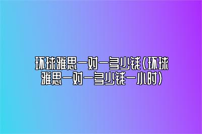 环球雅思一对一多少钱(环球雅思一对一多少钱一小时)