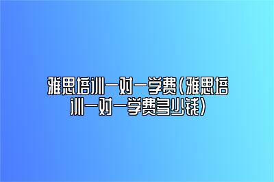 雅思培训一对一学费(雅思培训一对一学费多少钱)