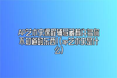 AP艺术史课程辅导藏着许多你不知道的东西！(ap艺术史是什么)