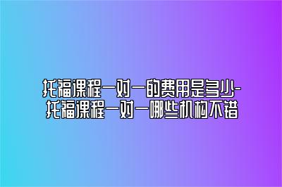 托福课程一对一的费用是多少-托福课程一对一哪些机构不错