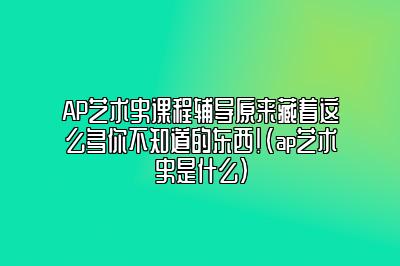 AP艺术史课程辅导原来藏着这么多你不知道的东西！(ap艺术史是什么)