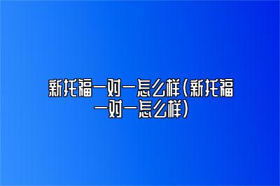 新托福一对一怎么样(新托福一对一怎么样)