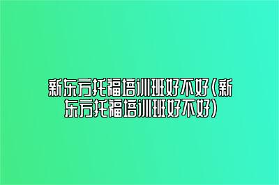 新东方托福培训班好不好(新东方托福培训班好不好)