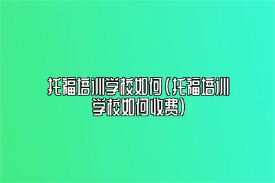 托福培训学校如何(托福培训学校如何收费)