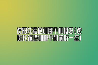 沈阳托福培训哪个机构好(沈阳托福培训哪个机构好一点)