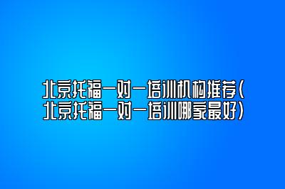 北京托福一对一培训机构推荐(北京托福一对一培训哪家最好)