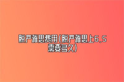 脱产雅思费用(脱产雅思上6.5需要多久)