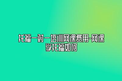 托福一对一培训网课费用-网课学托福如何