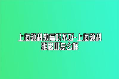 上海领科教育好不好-上海领科雅思班怎么样