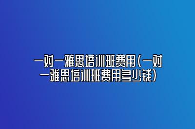 一对一雅思培训班费用(一对一雅思培训班费用多少钱)