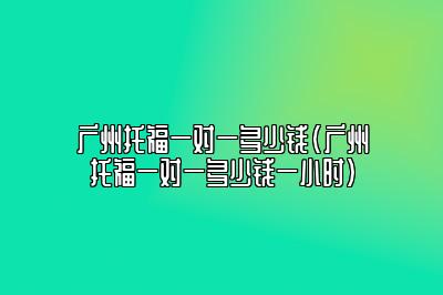 广州托福一对一多少钱(广州托福一对一多少钱一小时)