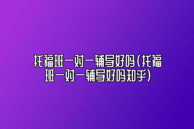 托福班一对一辅导好吗(托福班一对一辅导好吗知乎)