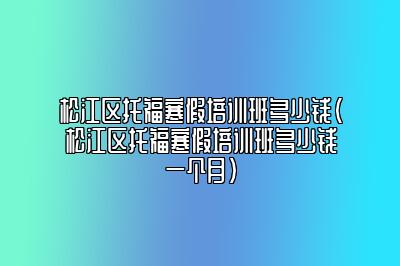 松江区托福寒假培训班多少钱(松江区托福寒假培训班多少钱一个月)