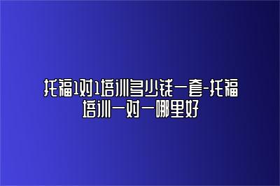 托福1对1培训多少钱一套-托福培训一对一哪里好