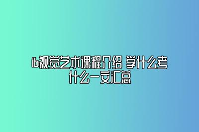 ib视觉艺术课程介绍 学什么考什么一文汇总