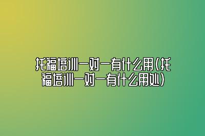 托福培训一对一有什么用(托福培训一对一有什么用处)