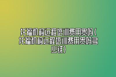 托福机构远程培训费用贵吗(托福机构远程培训费用贵吗多少钱)