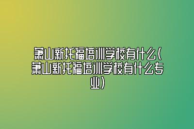 萧山新托福培训学校有什么(萧山新托福培训学校有什么专业)