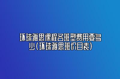 环球雅思课程各班型费用要多少(环球雅思班价目表)