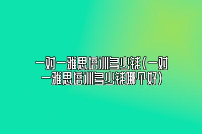 一对一雅思培训多少钱(一对一雅思培训多少钱哪个好)