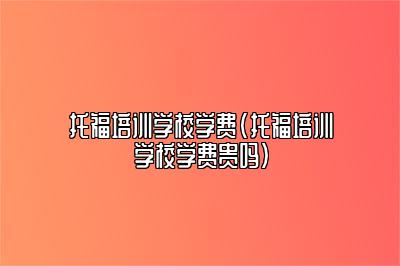 托福培训学校学费(托福培训学校学费贵吗)