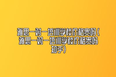 雅思一对一培训学校价格贵吗(雅思一对一培训学校价格贵吗知乎)