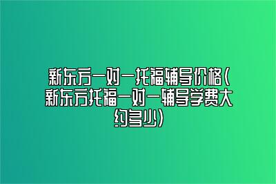 新东方一对一托福辅导价格(新东方托福一对一辅导学费大约多少)