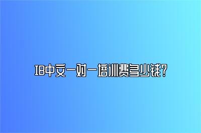 IB中文一对一培训费多少钱？