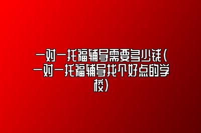 一对一托福辅导需要多少钱(一对一托福辅导找个好点的学校)