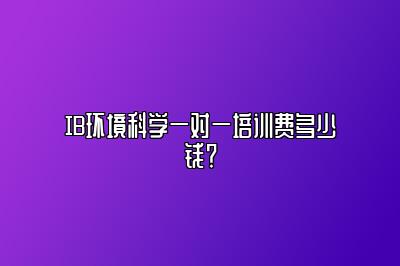 IB环境科学一对一培训费多少钱？