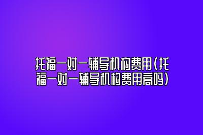 托福一对一辅导机构费用(托福一对一辅导机构费用高吗)