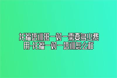 托福培训班一对一需要多少费用-托福一对一培训怎么样