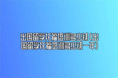 出国留学托福培训多少钱(出国留学托福培训多少钱一年)