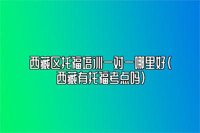 西藏区托福培训一对一哪里好(西藏有托福考点吗)