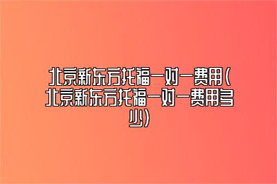 北京新东方托福一对一费用(北京新东方托福一对一费用多少)