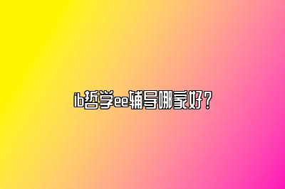 ib哲学ee辅导哪家好？