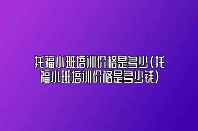 托福小班培训价格是多少(托福小班培训价格是多少钱)