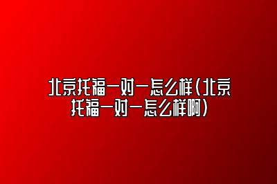 北京托福一对一怎么样(北京托福一对一怎么样啊)