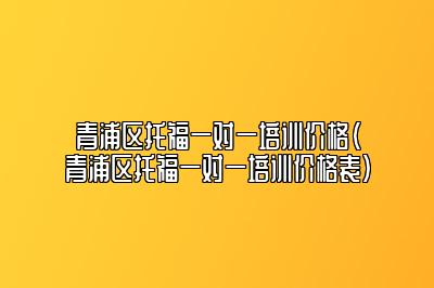 青浦区托福一对一培训价格(青浦区托福一对一培训价格表)