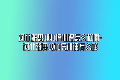 河北雅思1对1培训课怎么样啊-河北雅思1对1培训课怎么样