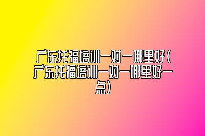 广东托福培训一对一哪里好(广东托福培训一对一哪里好一点)