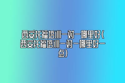 西安托福培训一对一哪里好(西安托福培训一对一哪里好一点)